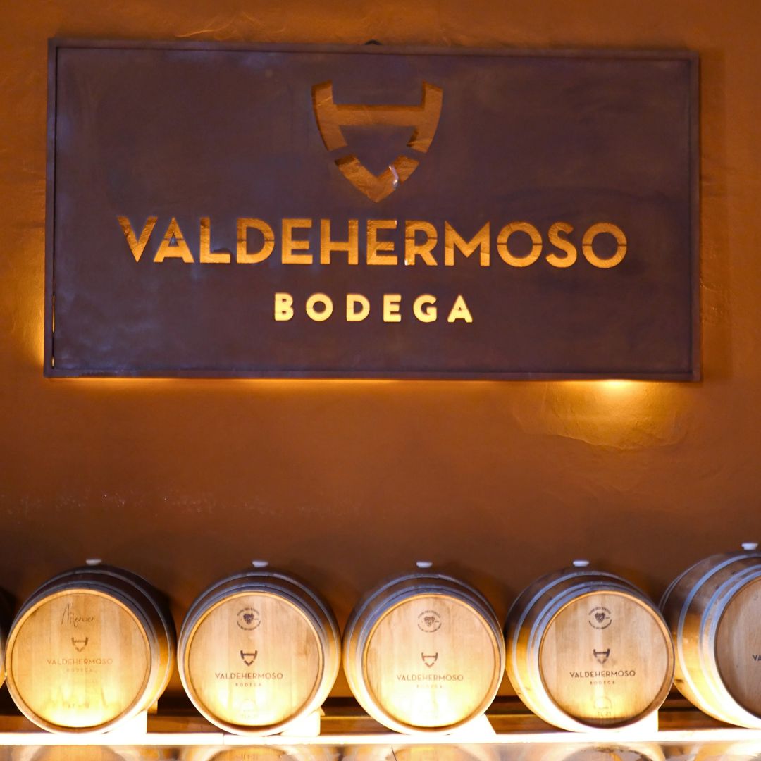 El proceso tras la vendimia de nuestros vinos